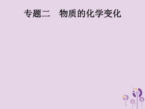 中考化学总复习优化设计第二板块专题综合突破专题二物质的化学变化课件