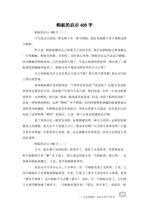 蚂蚁的启示400字