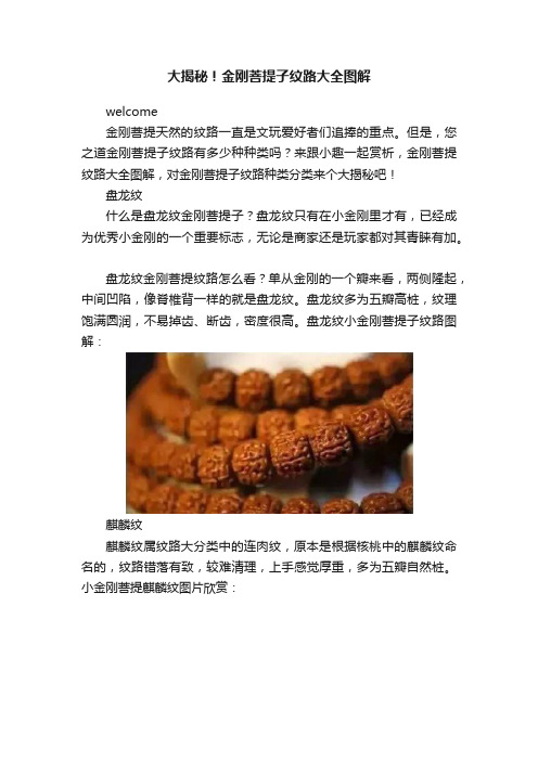 大揭秘！金刚菩提子纹路大全图解