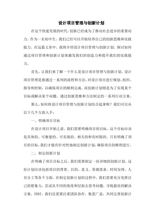 设计项目管理与创新计划