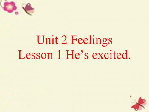 鲁科版英语五年级上册Unit 2《Lesson 1 He’s excited》ppt课件