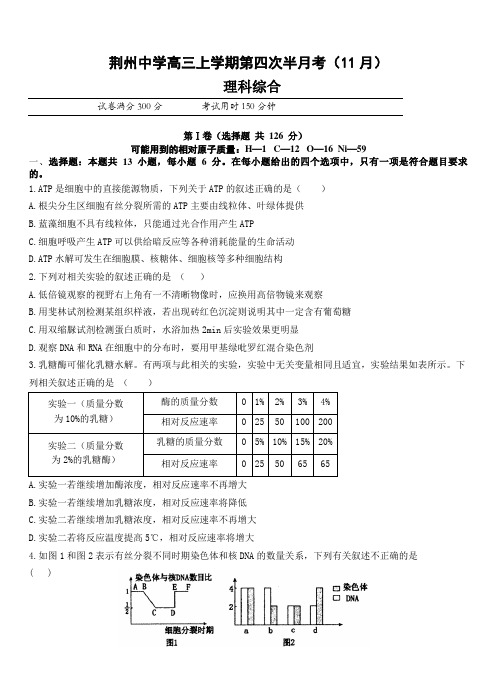 湖北省荆州中学2018届高三上-半月考(11月)理科综合试卷(附答案)