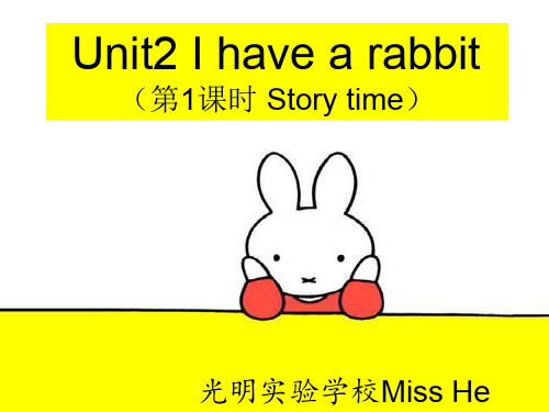 2上unit2+I+have+a+rabbit