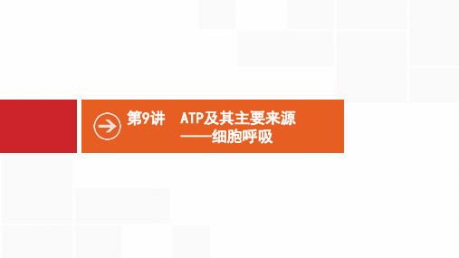 第9讲 ATP及其主要来源——细胞呼吸