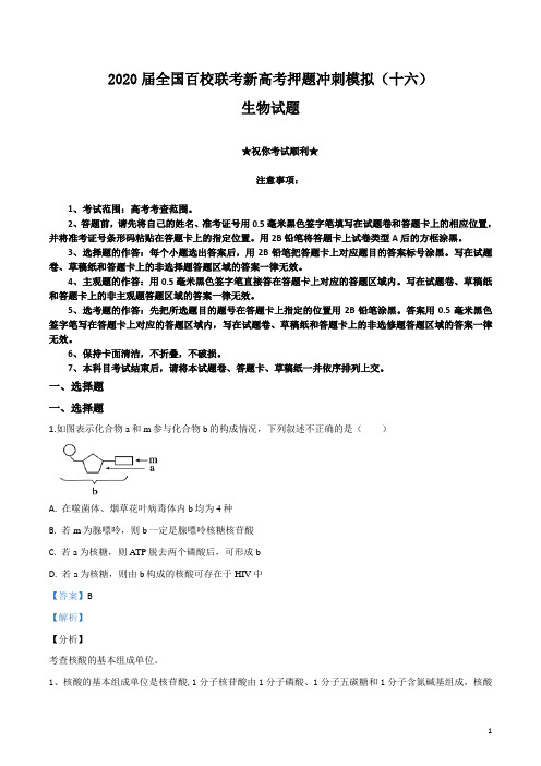 2020届全国百校联考新高考押题冲刺模拟(十六)生物试卷