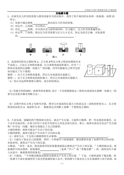 八年级下期末实验专题训练