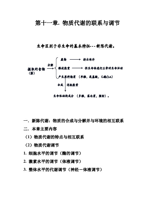 物质代谢的联系与调节笔记