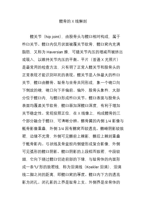 髋骨的X线解剖