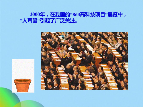 生物选修 人体的器官移植(共44张PPT)