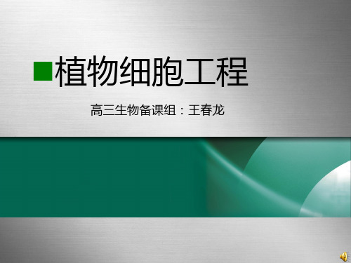 人教版教学课件《植物细胞工程》复习课件