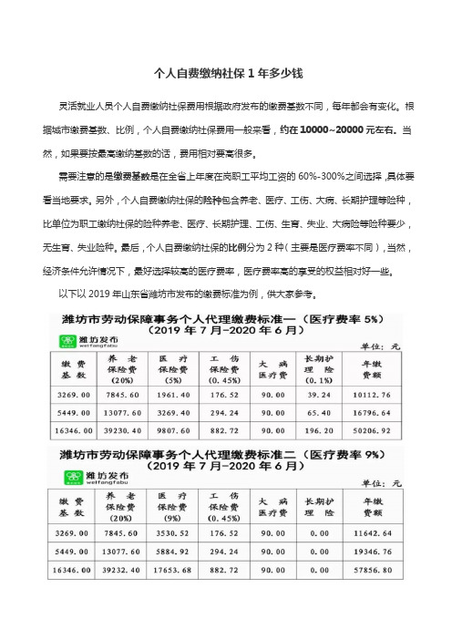 个人自费缴纳社保1年多少钱