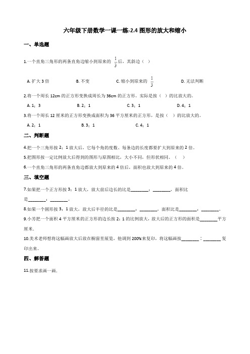 六年级下册数学一课一练-2.4图形的放大和缩小   北师大版(含答案)