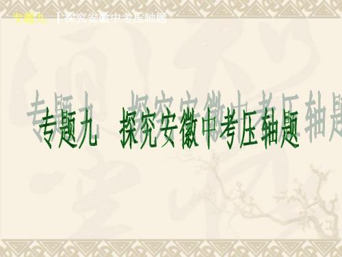 探究中考压轴题