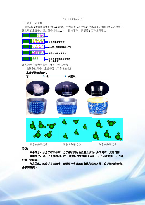 鲁教版九年级化学学案——2.1运动的水分子