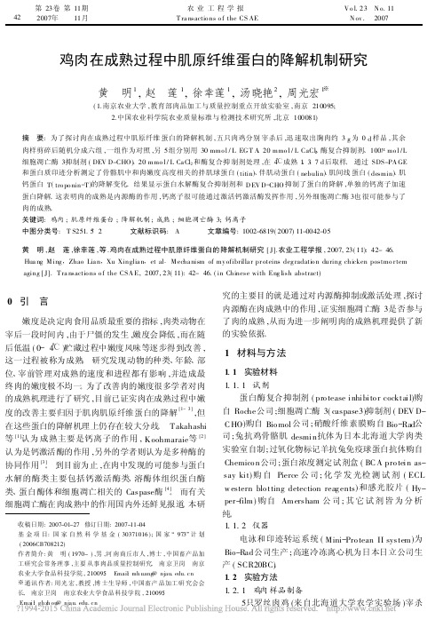 鸡肉在成熟过程中肌原纤维蛋白的降解机制研究_黄明