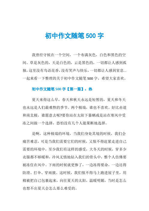 初中作文随笔500字