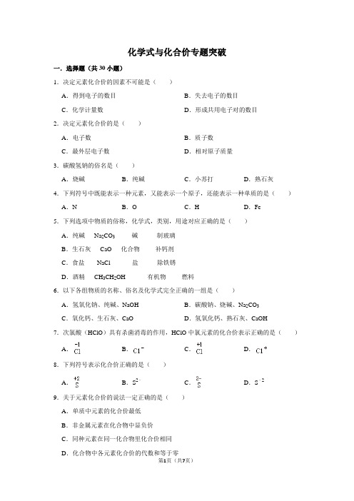 化学式与化合价专题突破