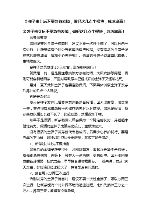 金弹子来芽后不要急着去膜，做好这几点生根快，成活率高！