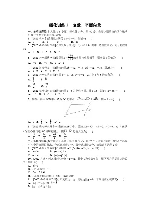 新高考数学二轮专题复习高频考点强化训练2(附解析)