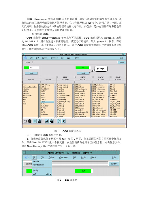 CGG软件介绍