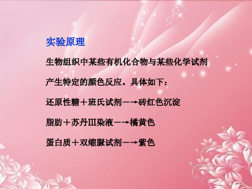 优化方案高中生物第一单元第二章检测生物组织中的还原性糖脂肪和蛋白质探究活动课件中图版必修1