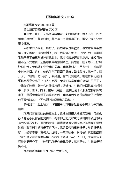 打羽毛球作文700字3篇