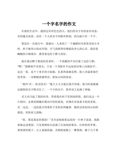 一个字名字的作文