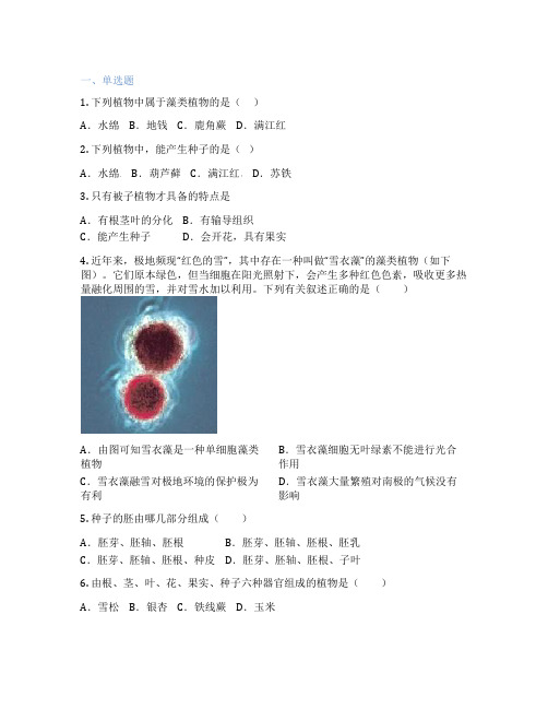 人教版生物 七年级上册 第一章 生物圈中有哪些绿色植物 课后练习题