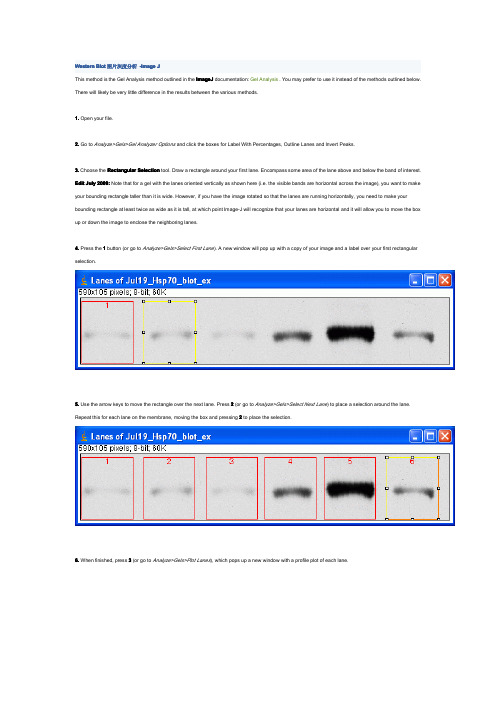 western blot 图片分析及image的使用说明