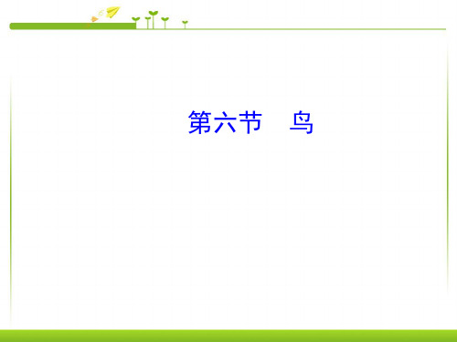 新人教版八年级生物上册第五单元第一章第六节—鸟