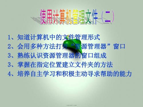 资源管理器PPT课件