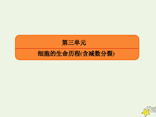 2020年高考生物二轮复习第三单元细胞的生命历程(含减数分裂)课件