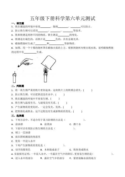 五年级下册科学第六单元 单元检测题