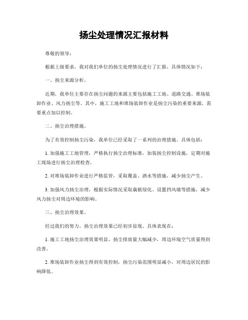 扬尘处理情况汇报材料