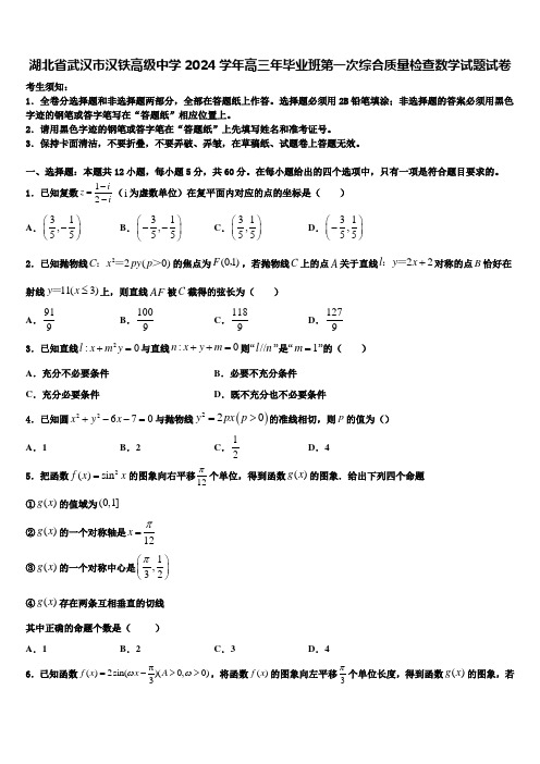 湖北省武汉市汉铁高级中学2024学年高三年毕业班第一次综合质量检查数学试题试卷