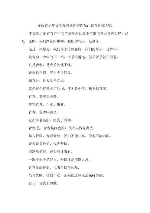 茅盾青少年文学院海选优秀作品:致青春·谈理想-作文