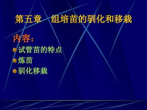 植物组织培养    第5章 组培苗的驯化和移栽