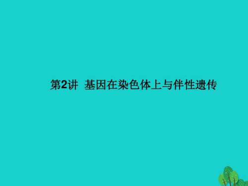 高考生物一轮复习第二单元基因和染色体的关系第2讲基因在染色体上与伴性遗传