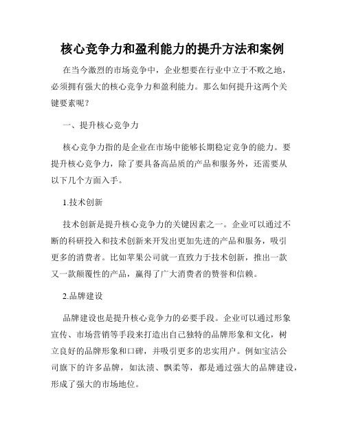 核心竞争力和盈利能力的提升方法和案例