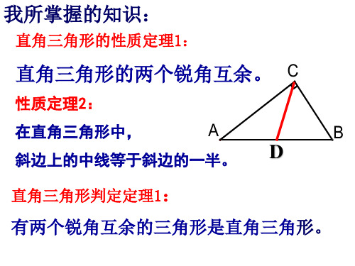 直角三角形的性质和判定主要内容