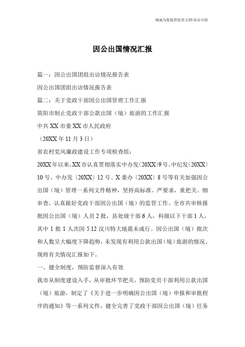 因公出国情况汇报