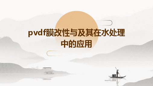 PVDF膜改性与及其在水处理中的应用