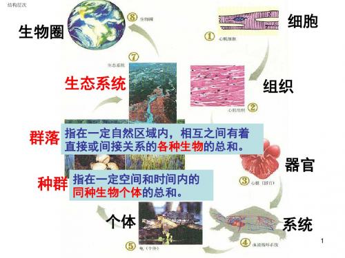 生物必修一第一、二、三章ppt 人教课标版