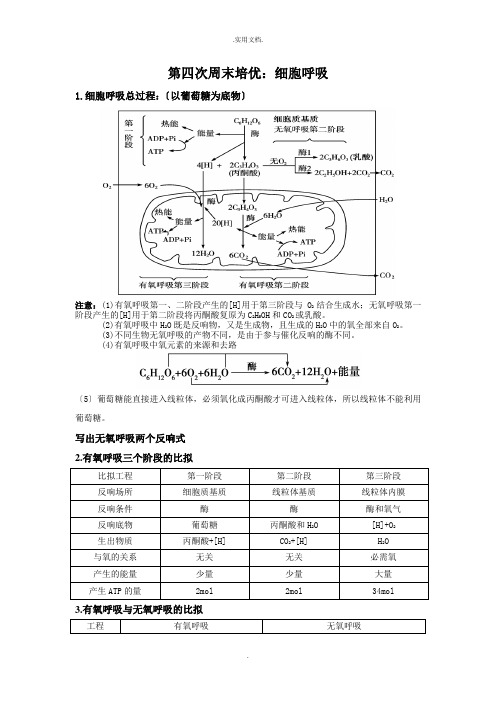 细胞呼吸相关知识总结