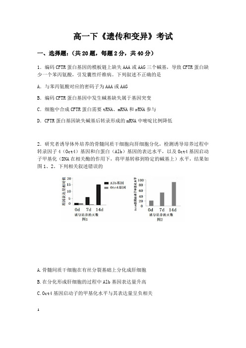 遗传与进化检测题  高一下学期生物人教版必修2