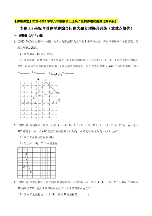 坐标与对称平移综合问题大题专项提升训练八年级数学上册尖子生同步培优题典(原卷版)苏科版