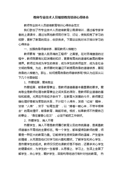 教师专业技术人员继续教育培训心得体会