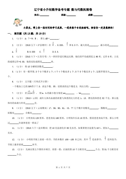 辽宁省小升初数学备考专题 数与代数拓展卷