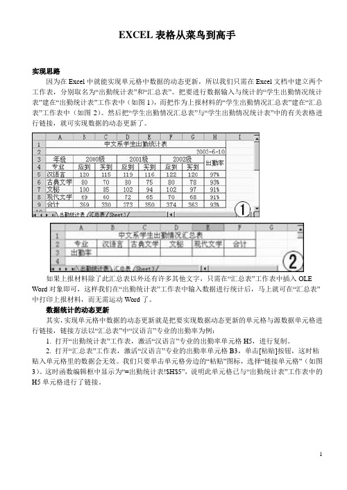 Excel表格从菜鸟到高手