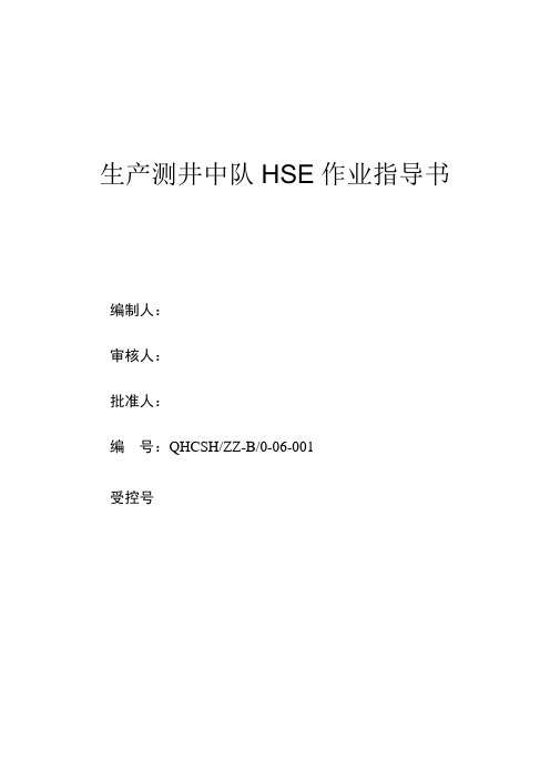 生产测井中队HSE作业指导书